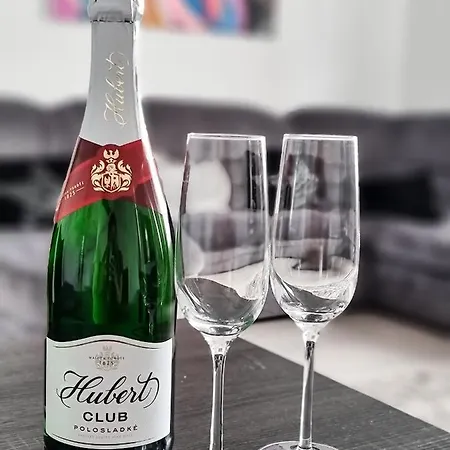 Апартаменты Spacious Near Hockey And Football Arena